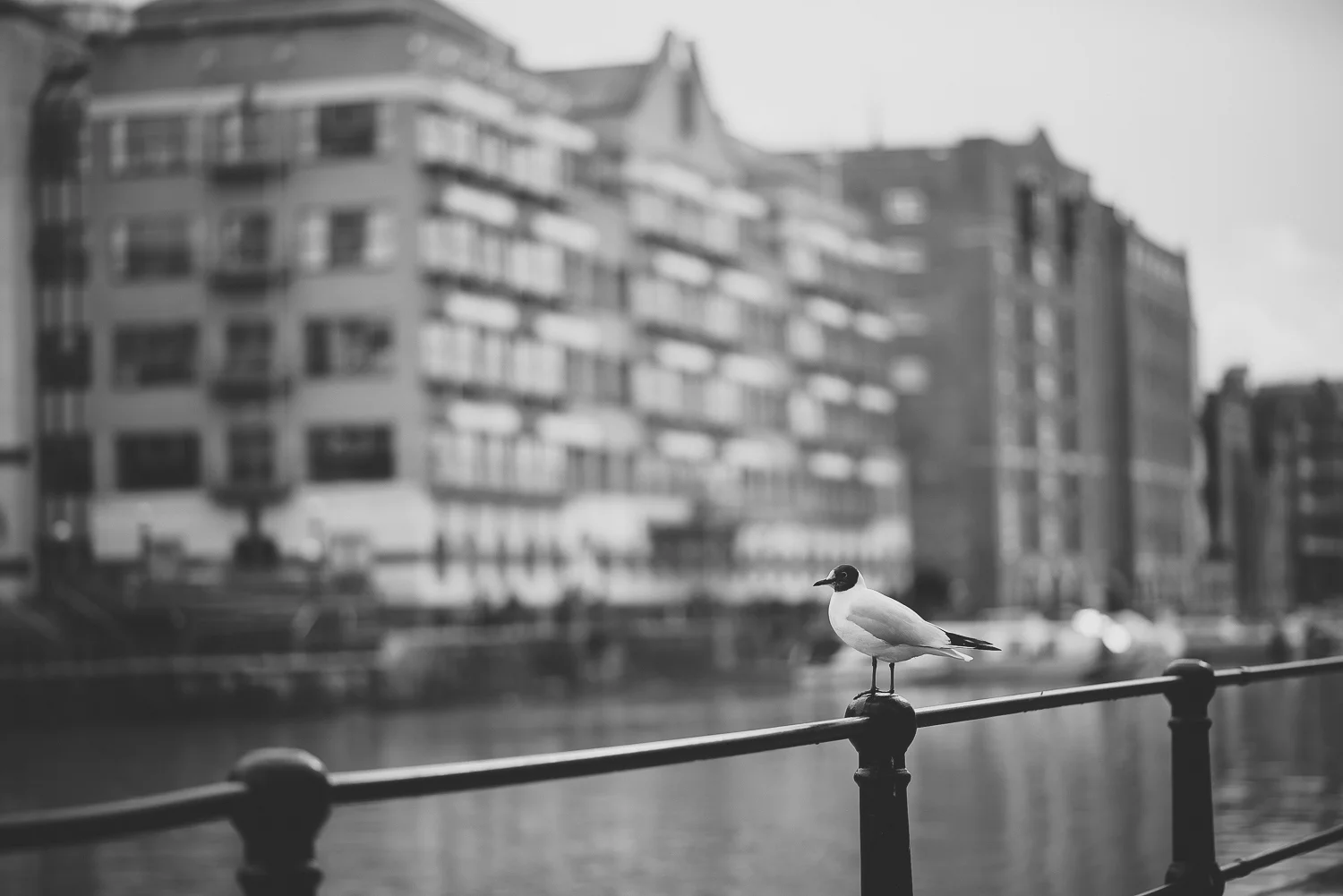 Glassboat-bristol-wedding-photography-17.jpg