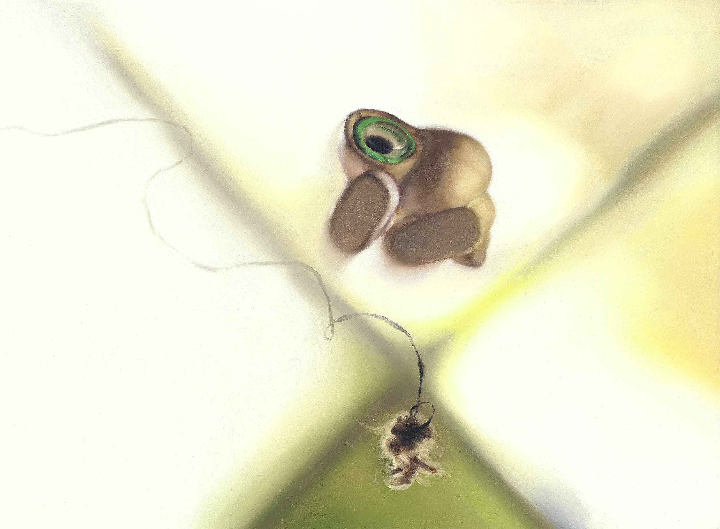 All images from the children's picture book Marcel the Shell With Shoes On: Things About Me © Jenny Slate and Dean Fleischer-Camp Published by Penguin Books Paintings by Amy Lind