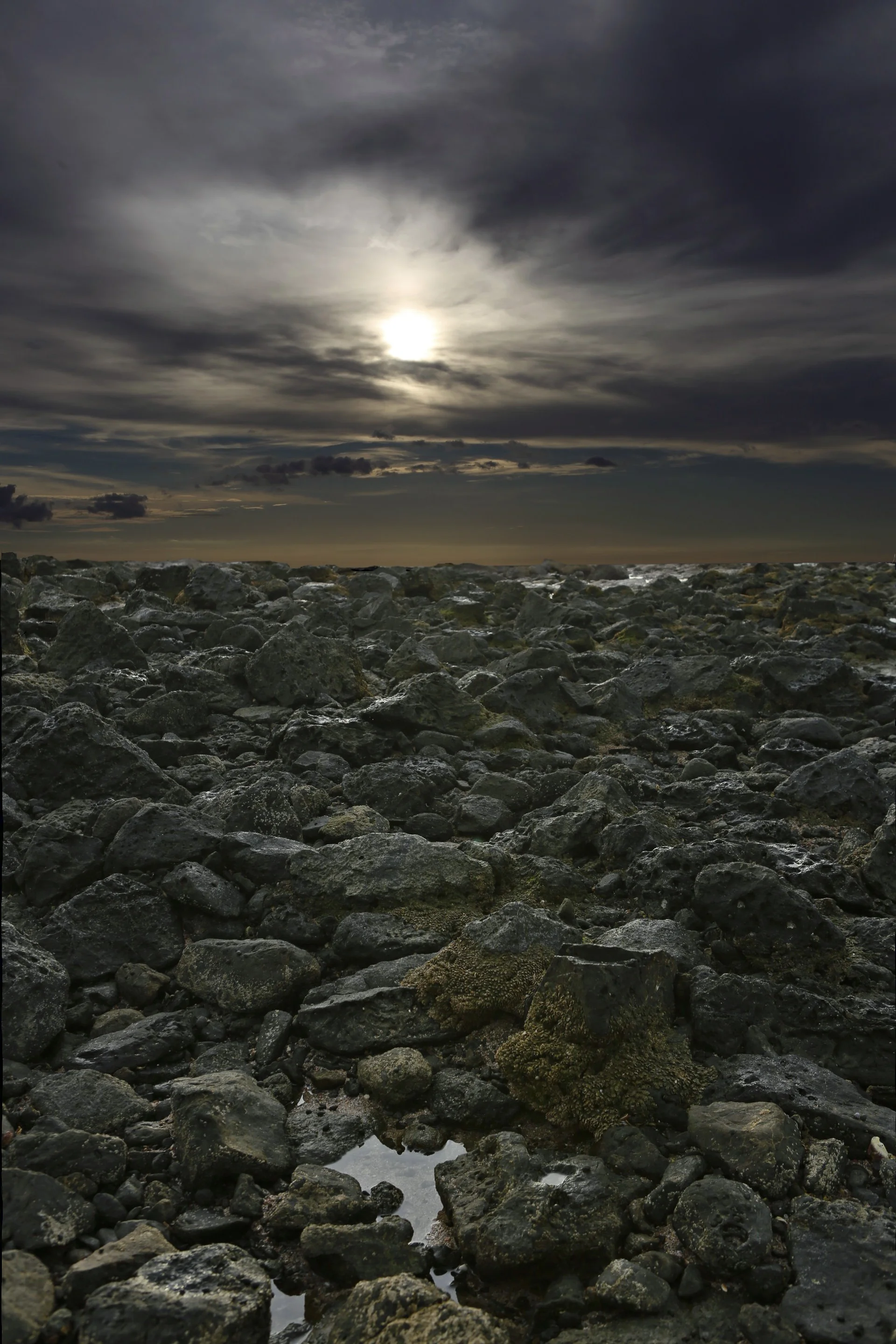 EDIT IMG_9863.jpg
