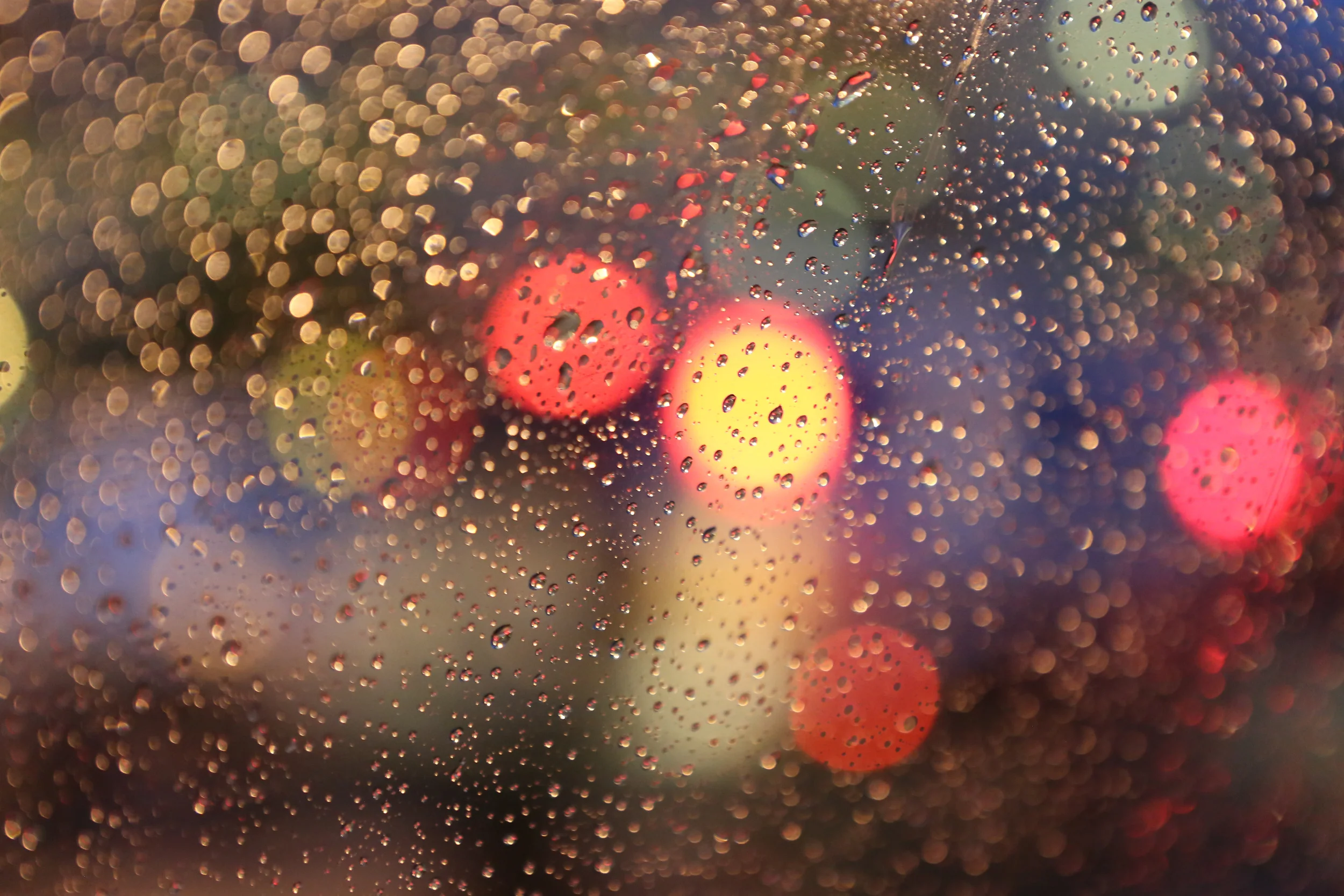 untitled shoot-180.jpg