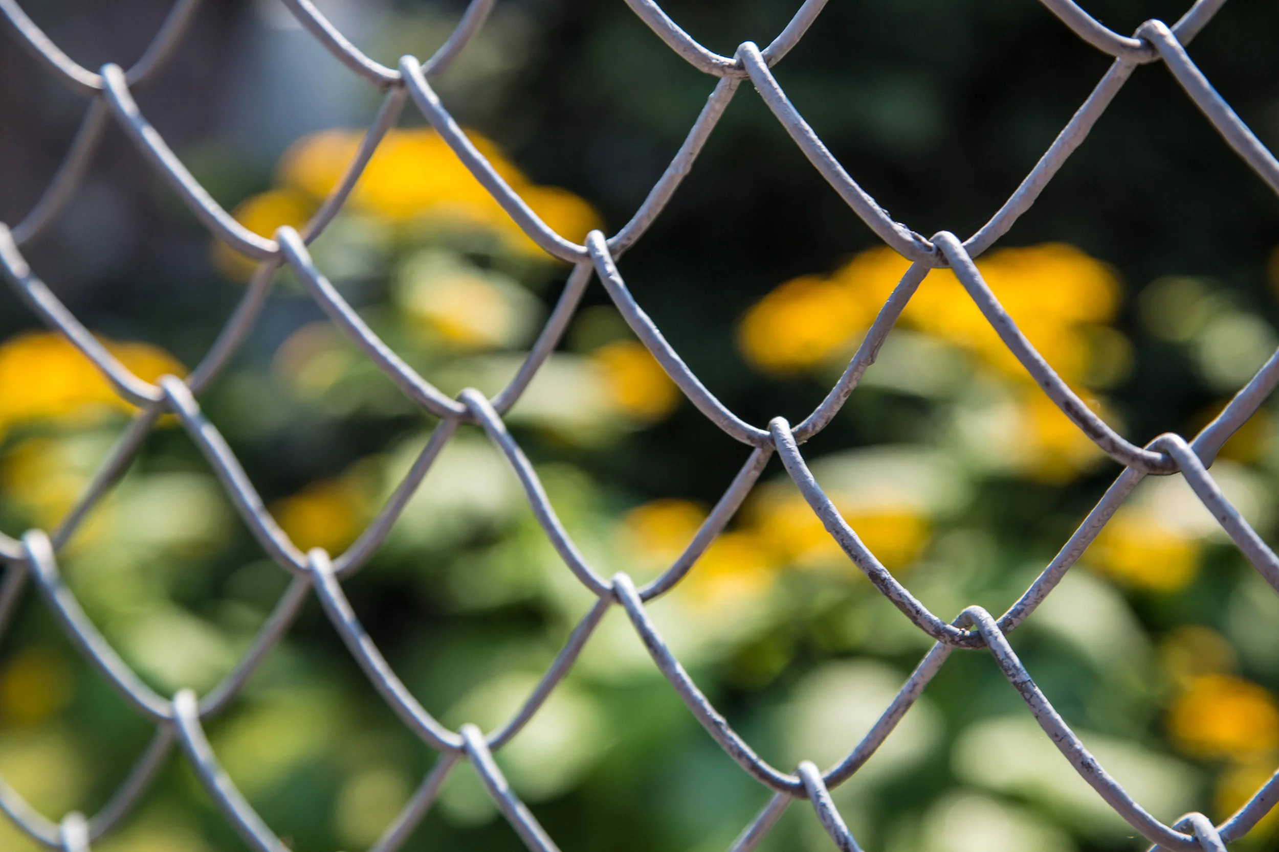 0062_untitled shoot-021-2.jpg