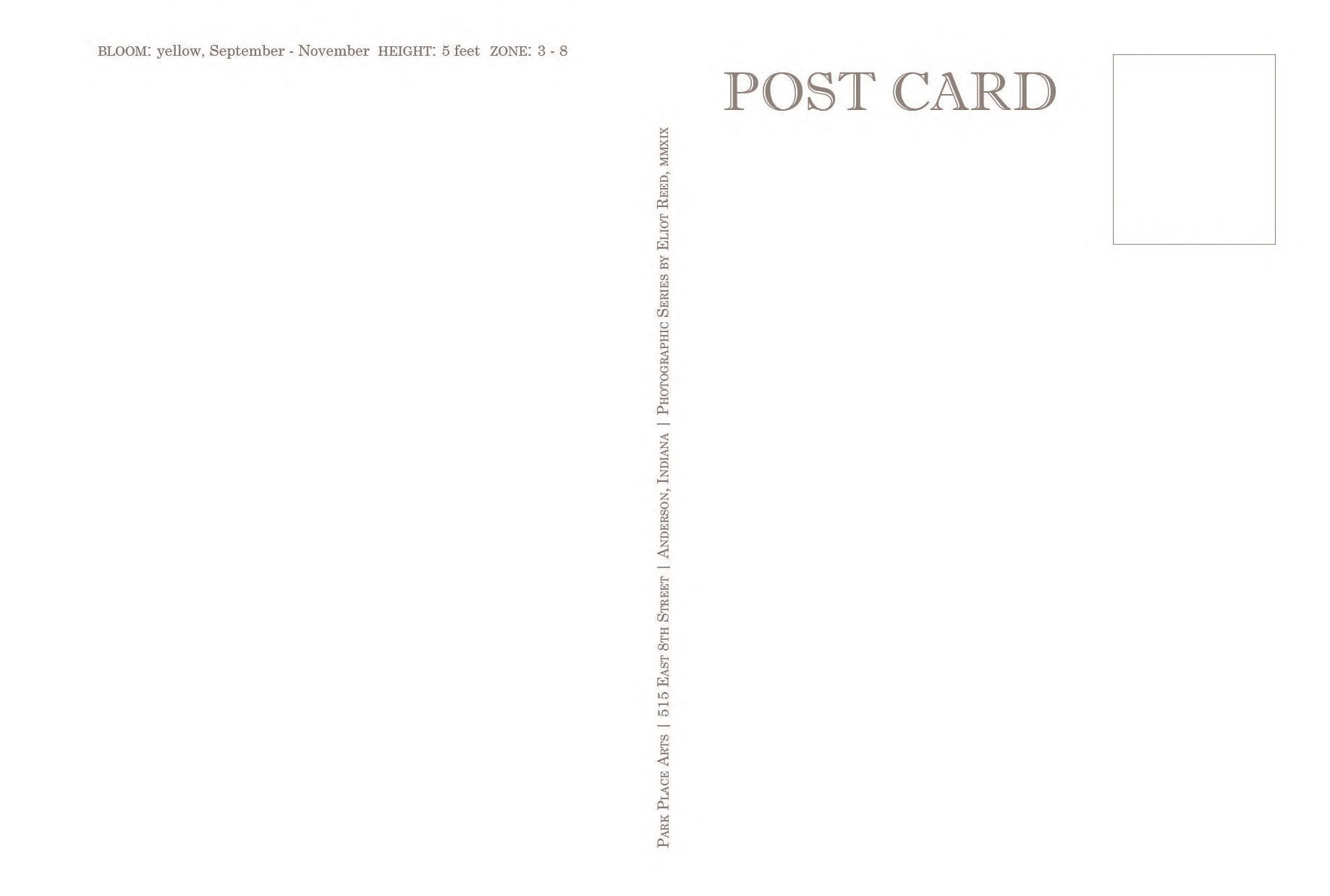 Postcard reverse side