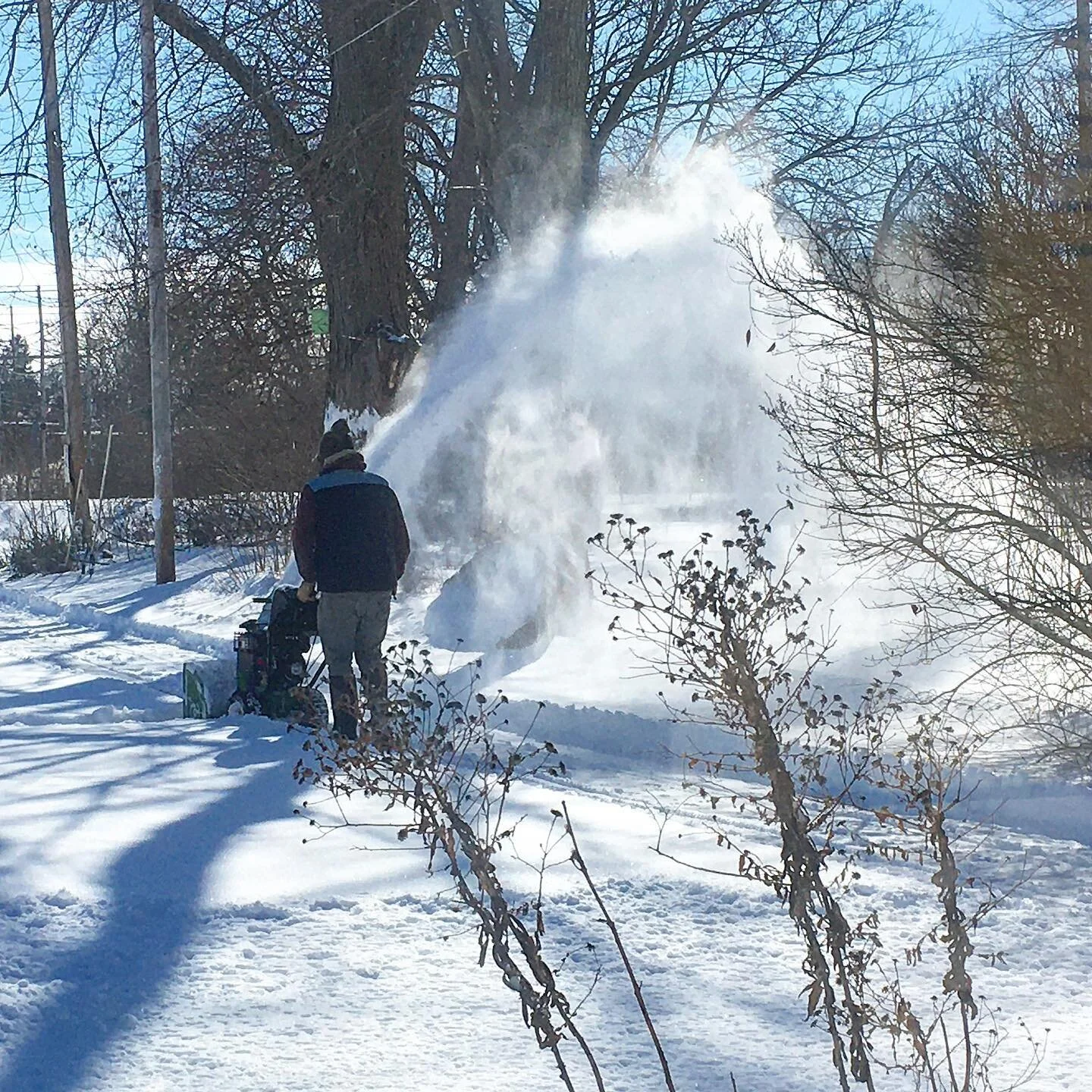 Snow Day! ❄️ 

#parkplacearts