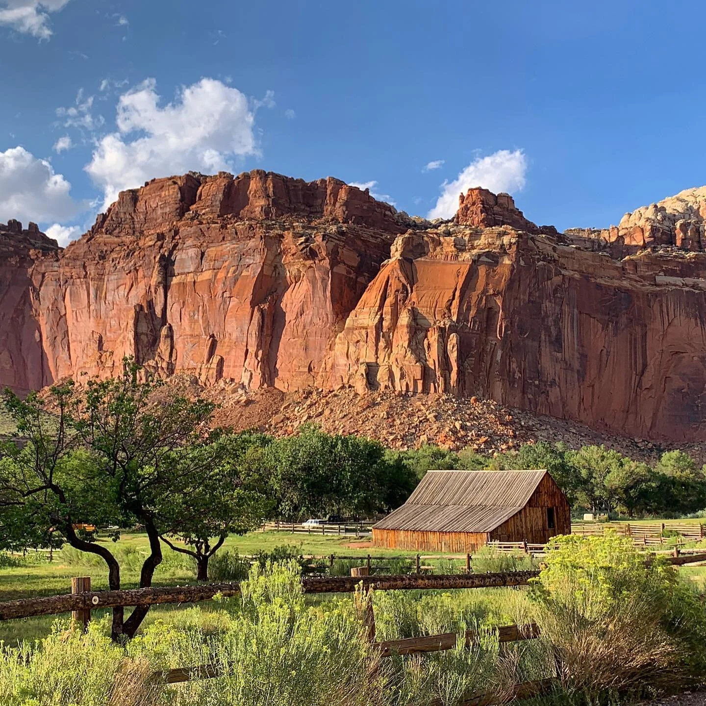 Pendleton Barn

#utah #nationalpark #farm #mormonism