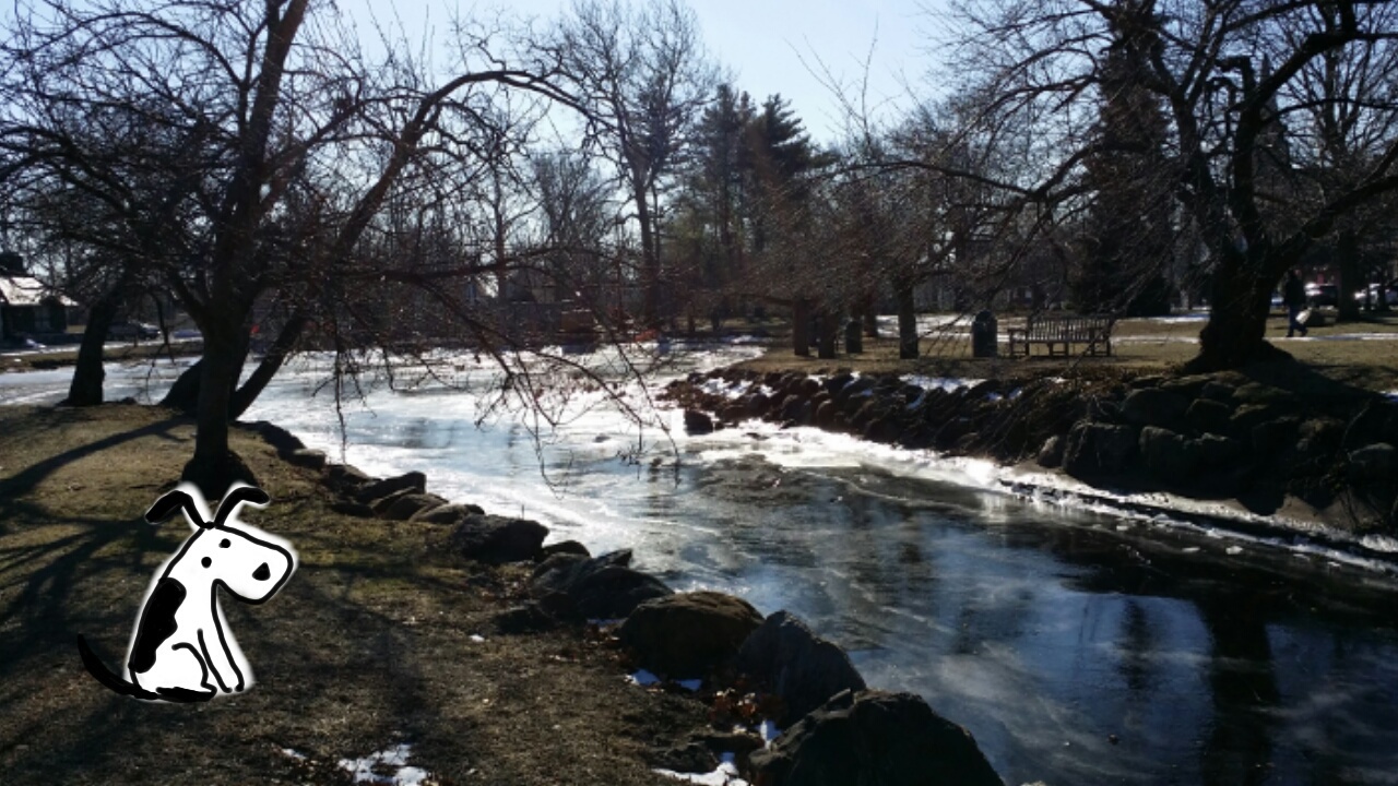 Typical day in New Jersey... oh look a doggie!!