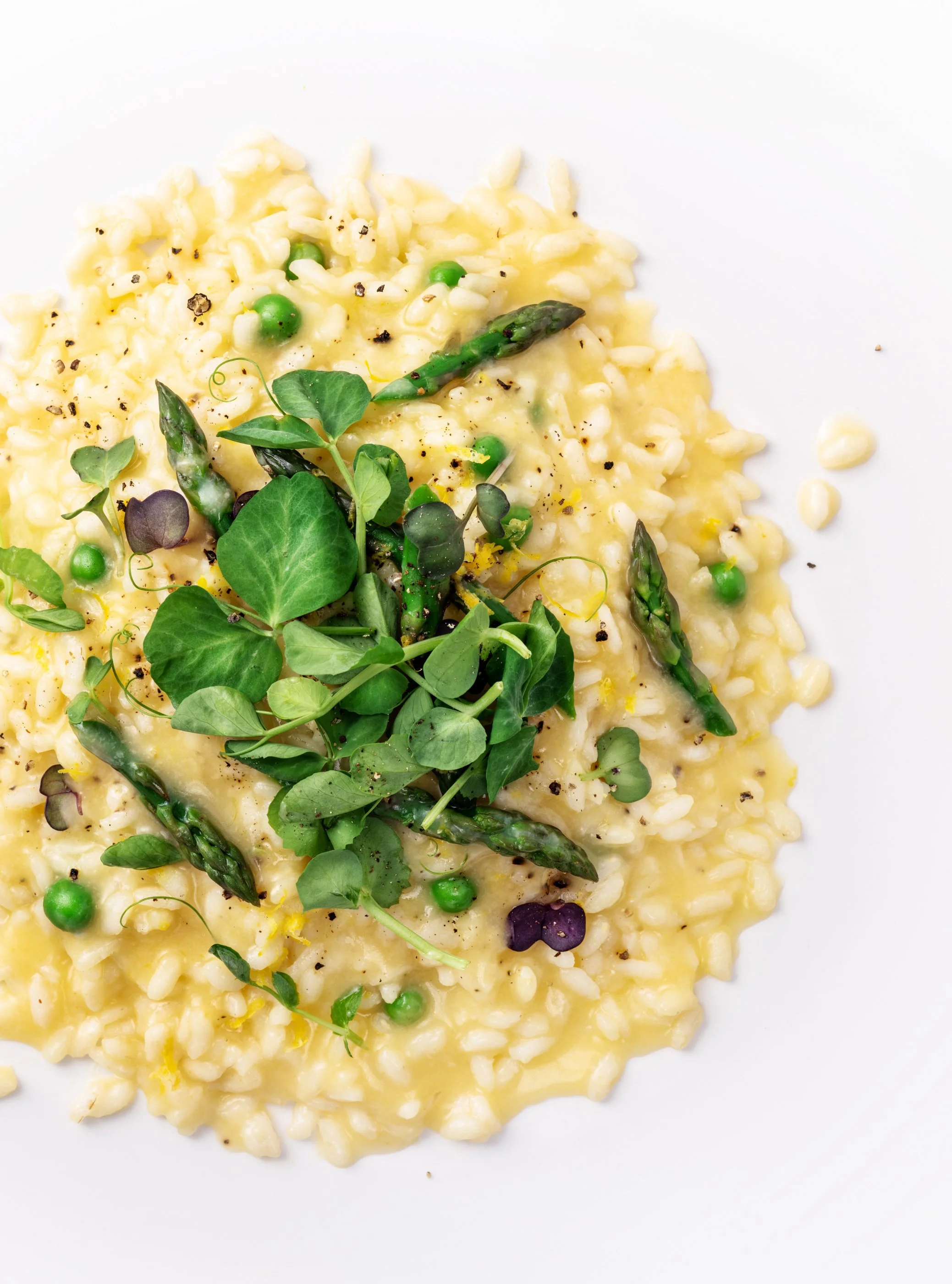 PASTA-20.jpg