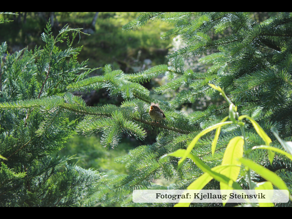 Bildeserie 2013.002.jpg