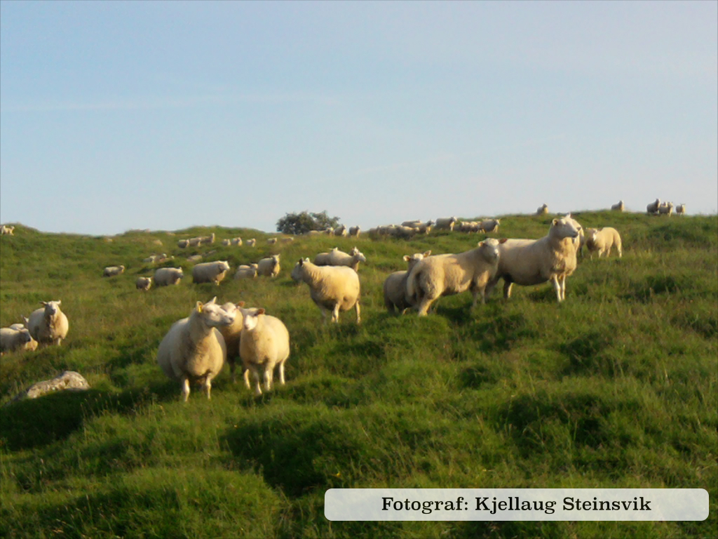 Bildeserie 2013.006.jpg