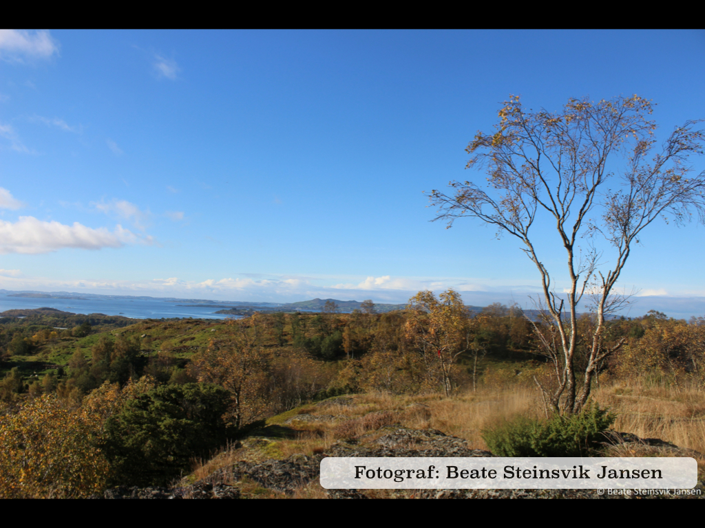 Bildeserie 2013.010.jpg