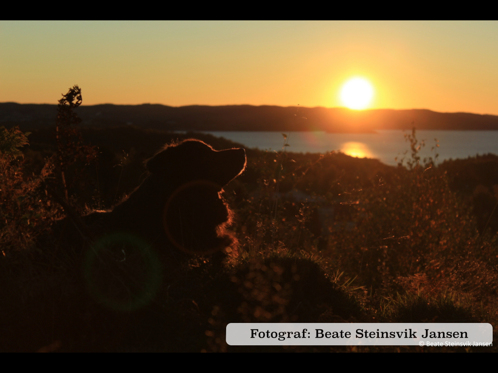 Bildeserie 2013.012.jpg