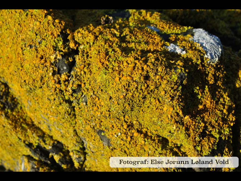 Bildeserie 2013.016.jpg