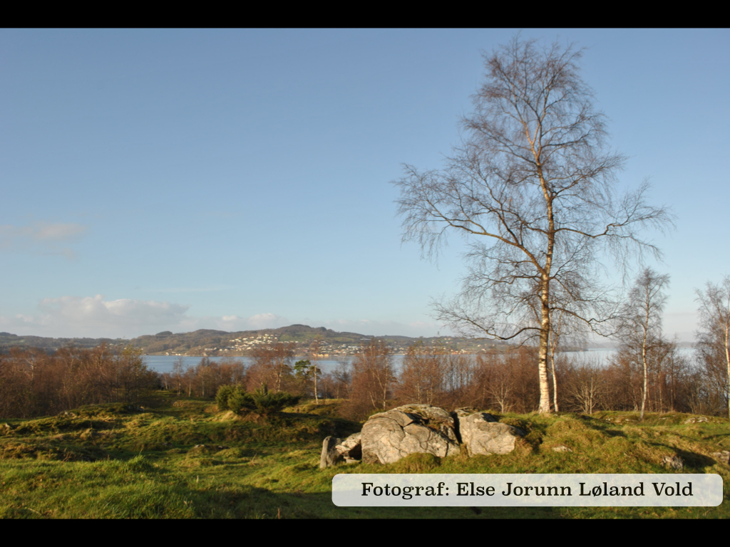 Bildeserie 2013.018.jpg