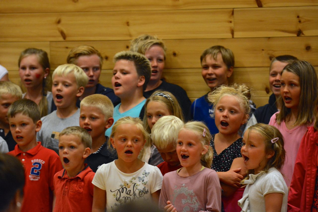 Sommeravslutning 201407.jpg