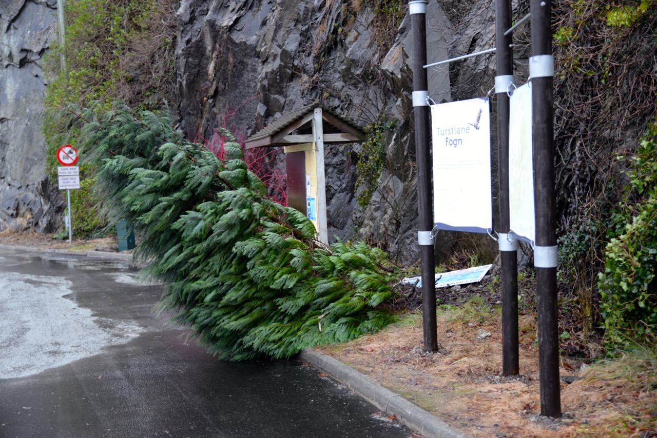 Foto: Håvard Østhus