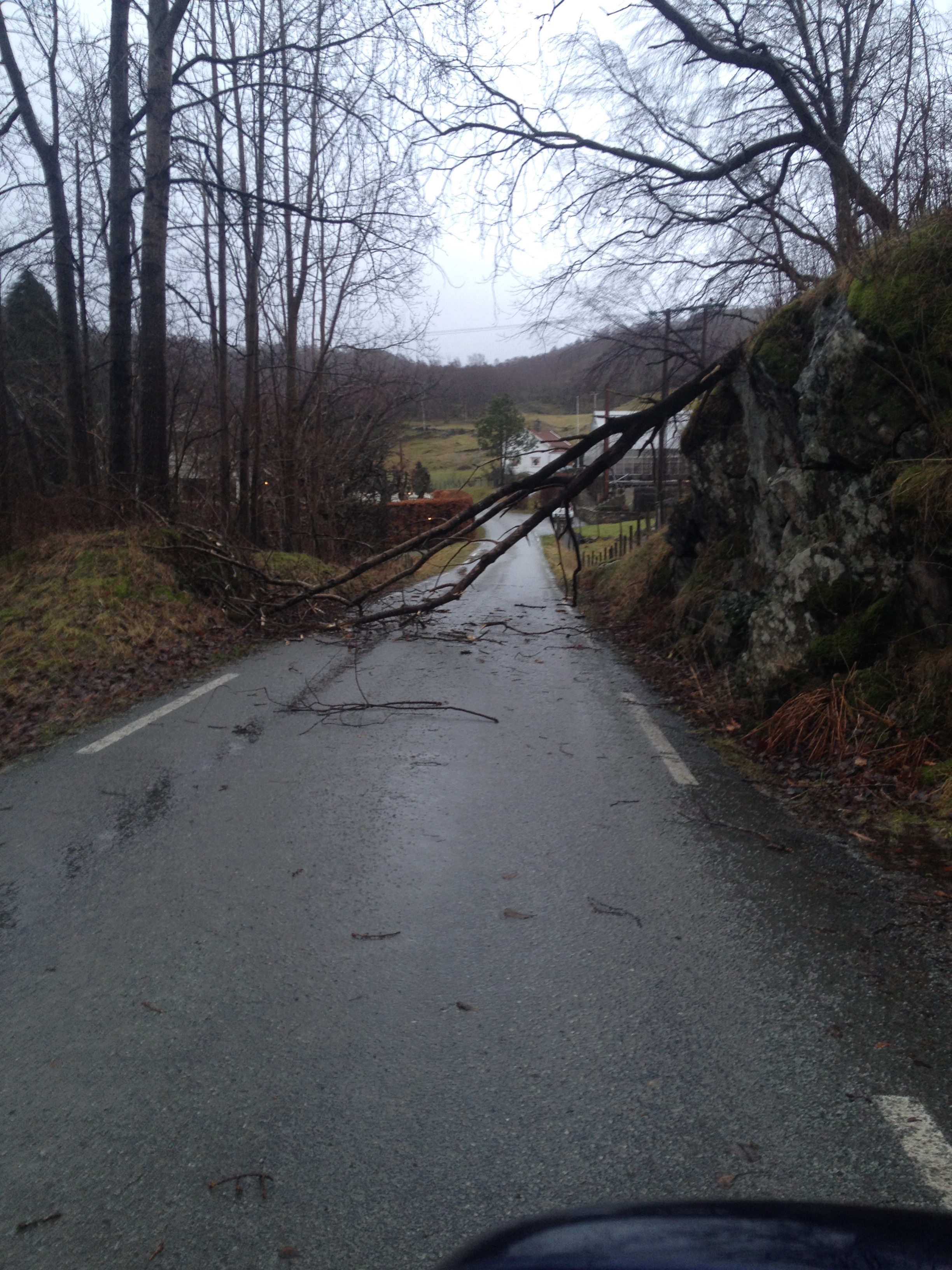 Foto: Øyvind Sandanger
