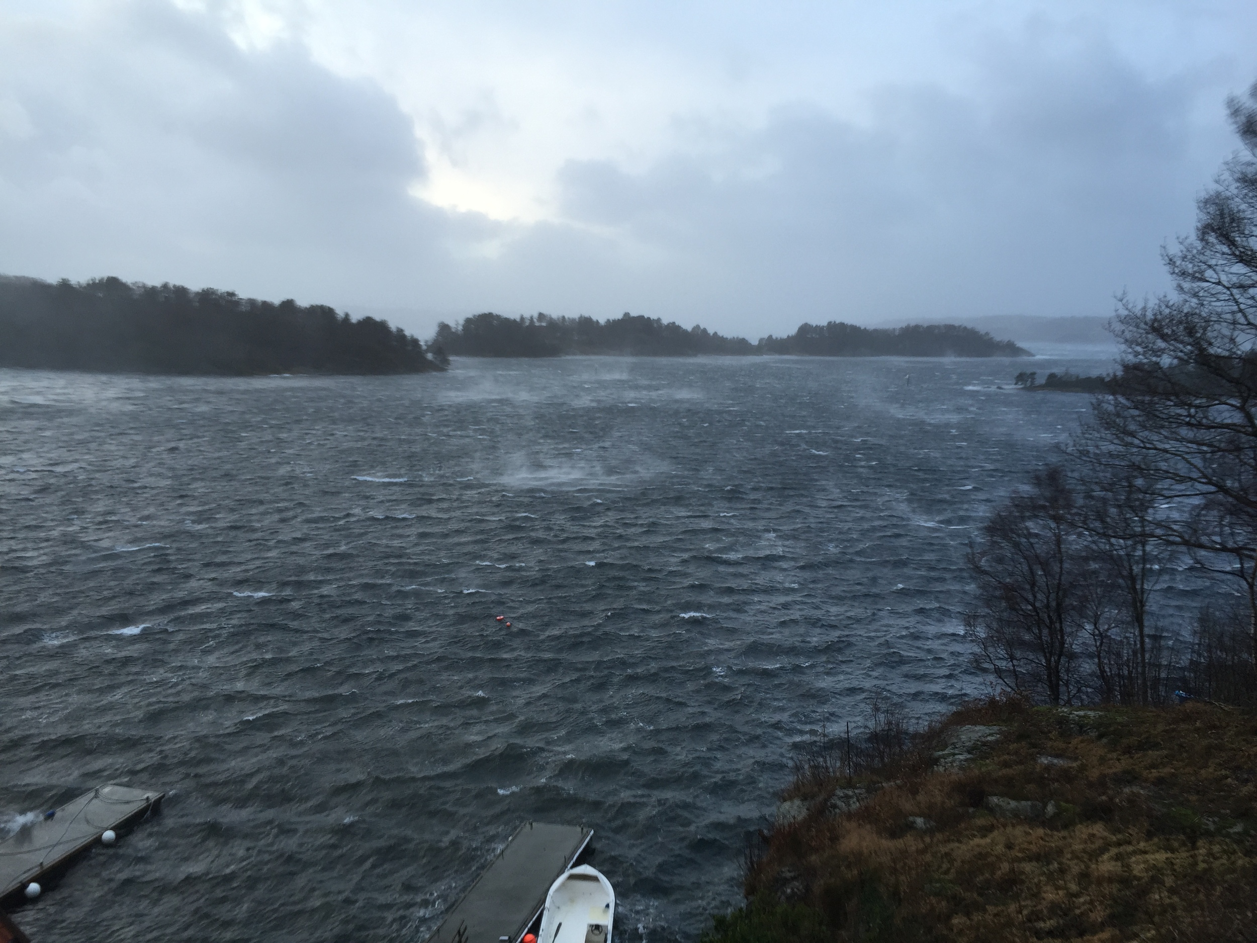 Foto: Arnt Olav Dahl