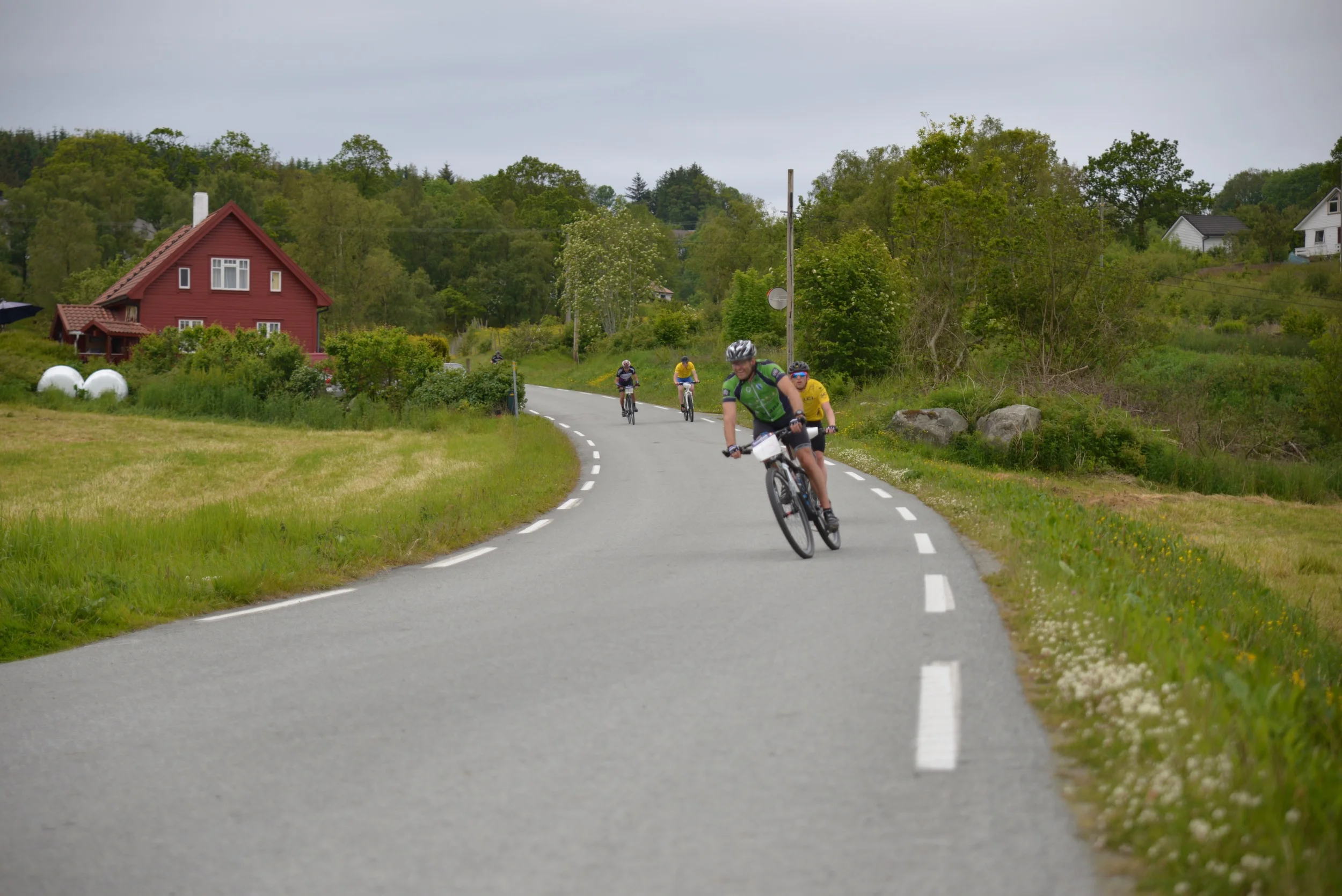 DSC_0978.jpg