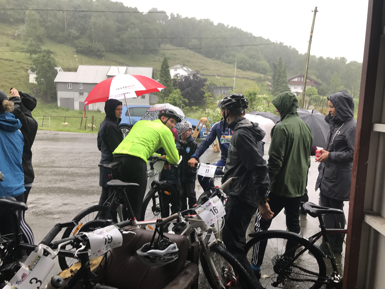 TDF 1 - 3.jpg