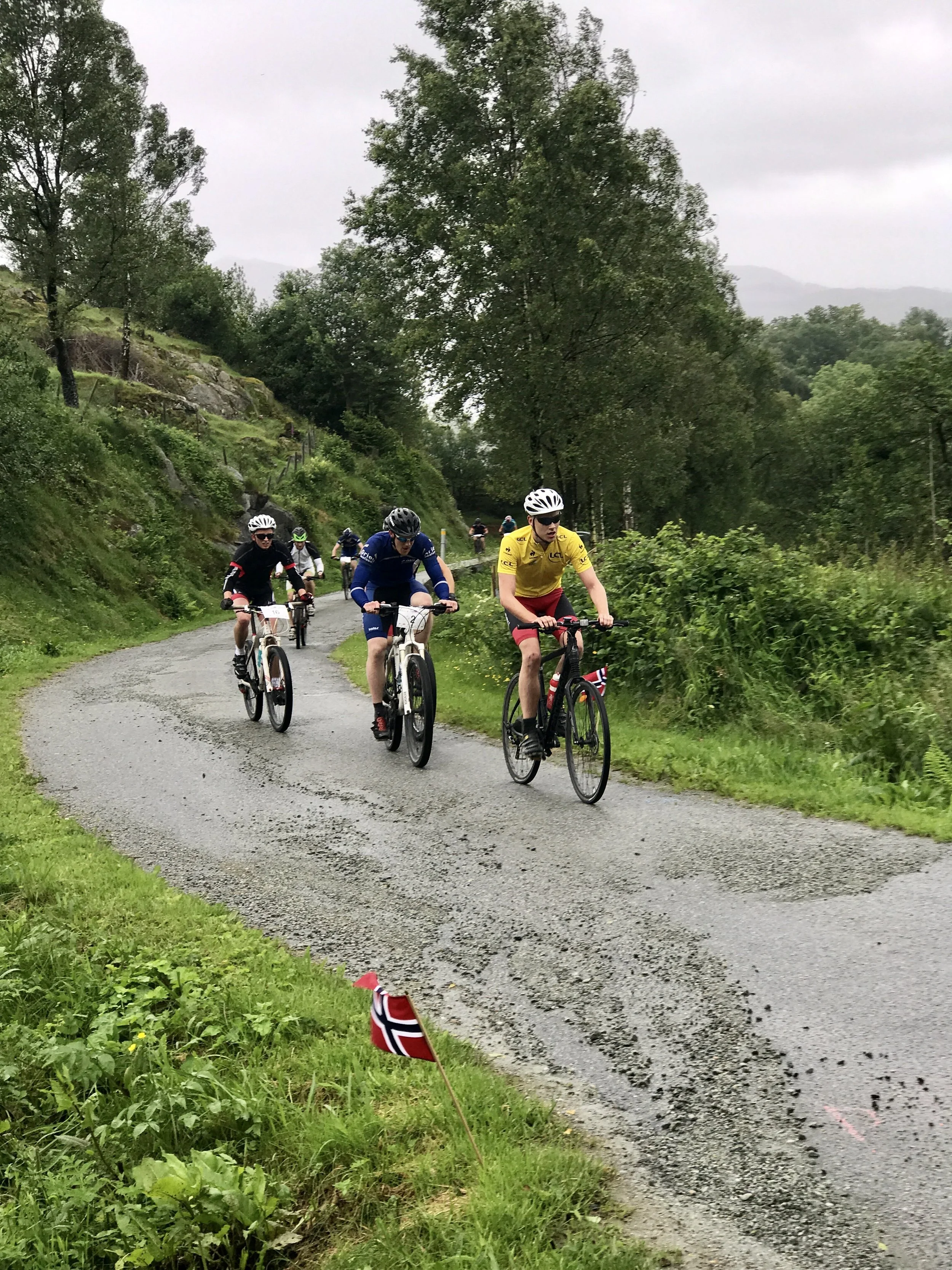 Tdf 3 -05.jpg