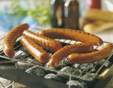 grille_polse.JPG (450x351).jpg