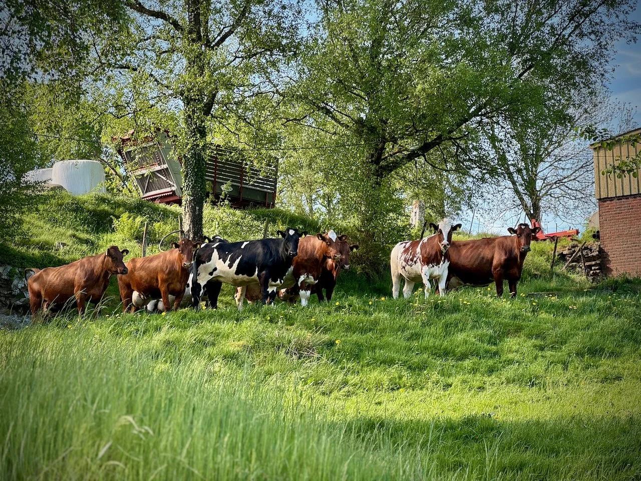 17 mai 2024  - 26.jpeg