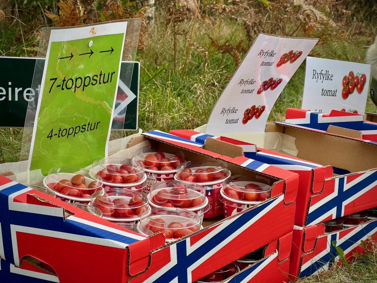 Topptur 2025 - 8.jpeg