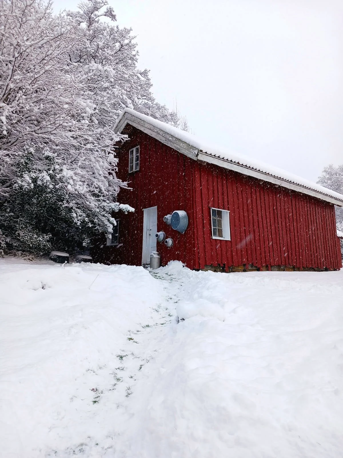 Salgsmesse i Erås Museum