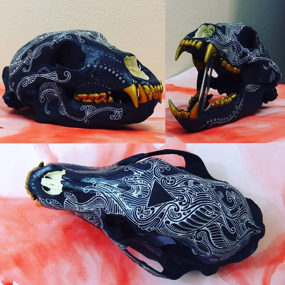 Black Bear Skull (Painted)