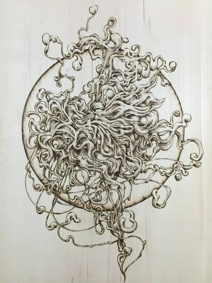 12733638_1008840182495854_7225507843588314249_n.jpg