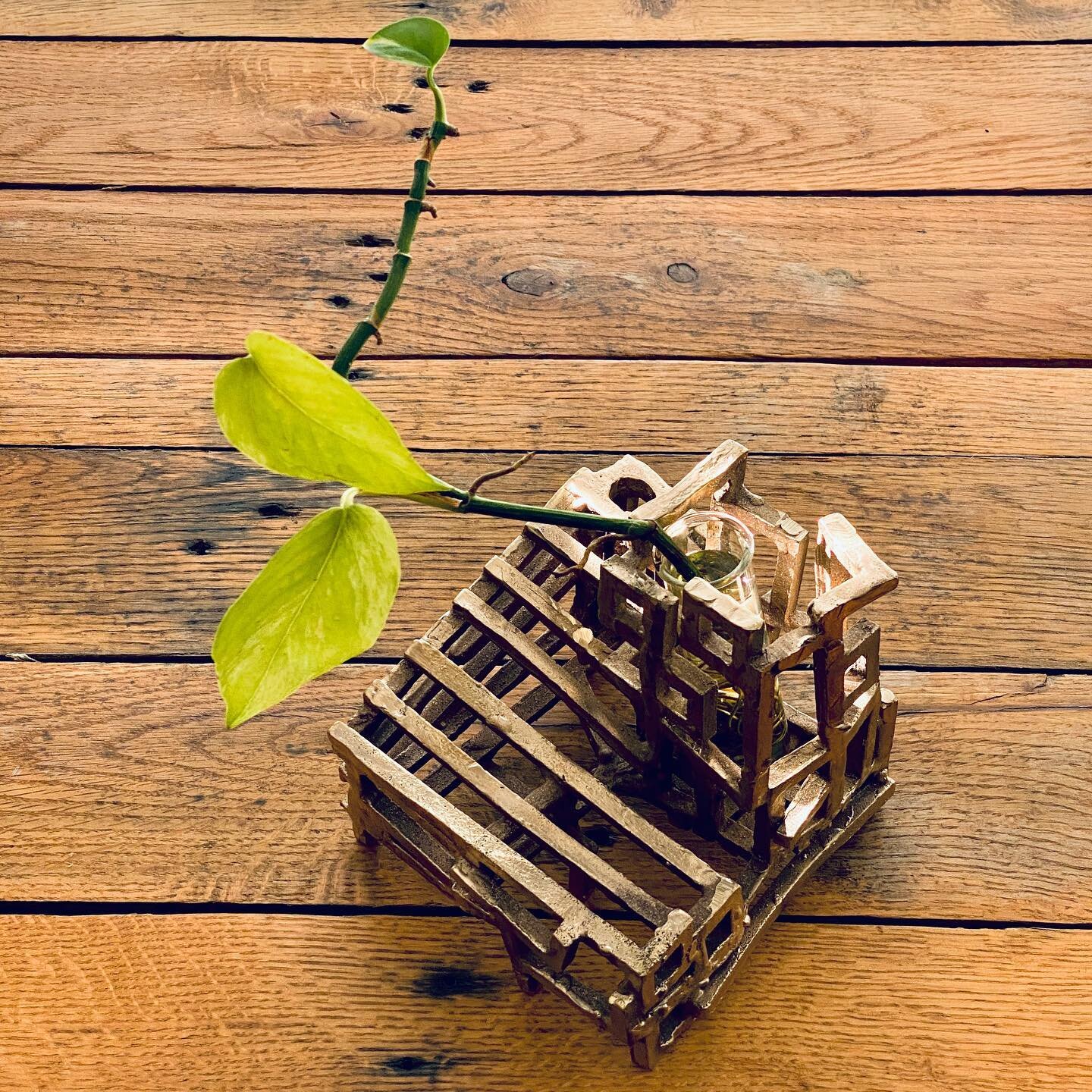 A bronze sculpture i made (seen here holding a little pothos plant), and some progress pics.
First I made some &ldquo;building blocks&rdquo; using my 3D printer, then I made a silicone mold of those blocks so that I could pour wax into the mold over 