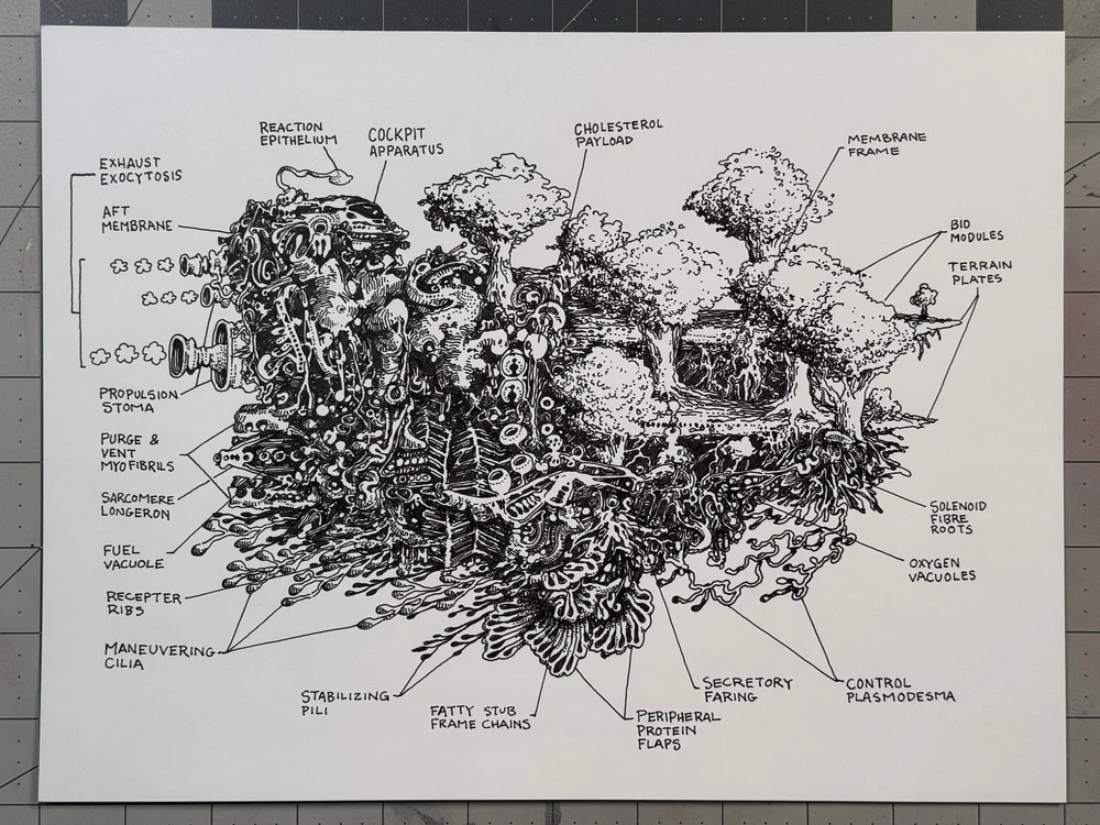 Shop — Peter Draws