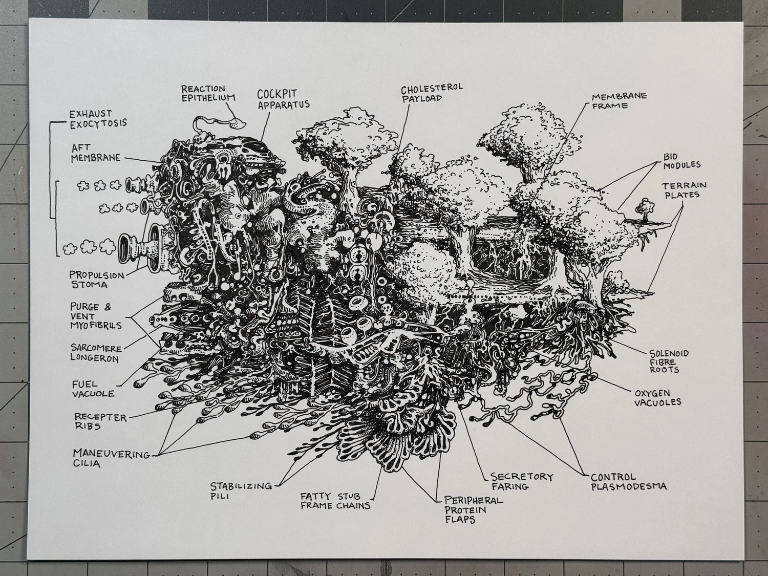 Shop — Peter Draws