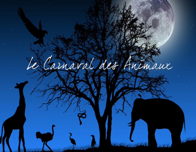 Le Carnaval des Animaux 1.png