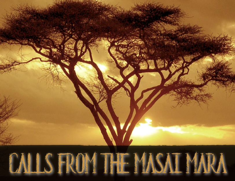 Calls from the Masai Mara 1.png