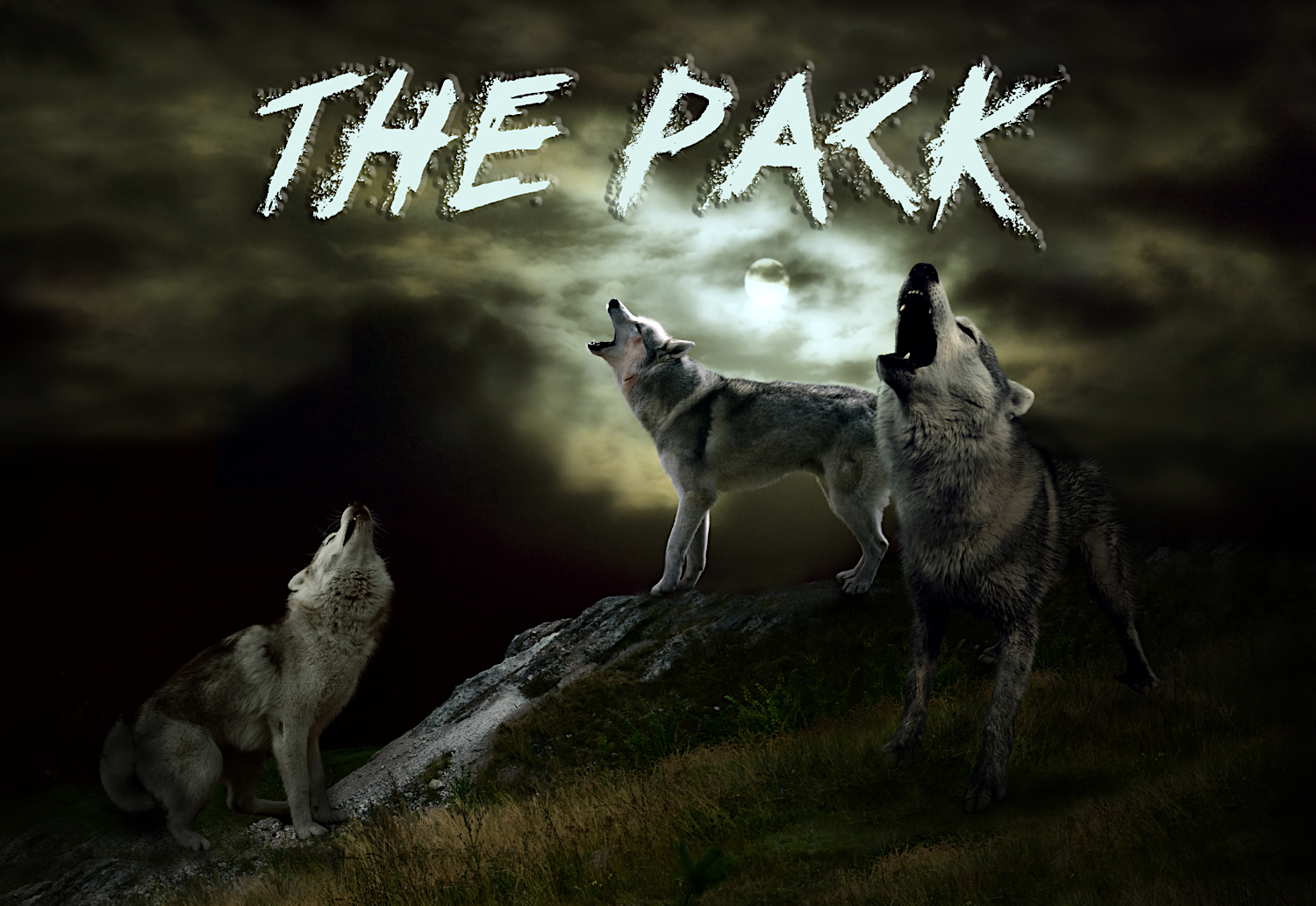 Screen Shot 2017-12-30 at 7.14.07 PM.png