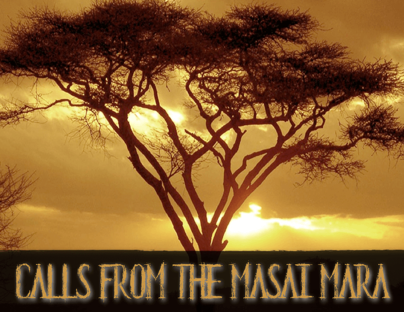 Calls+from+the+Masai+Mara+1.png