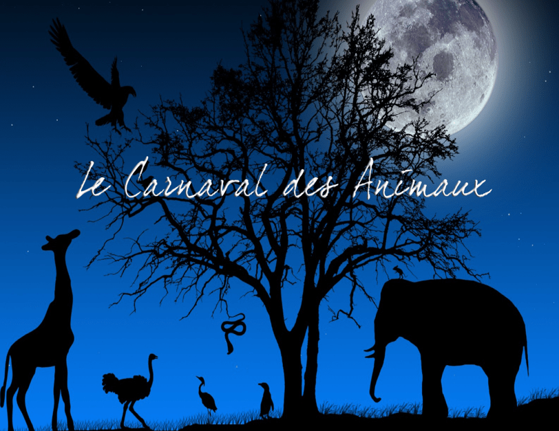Le+Carnaval+des+Animaux+1-min.png