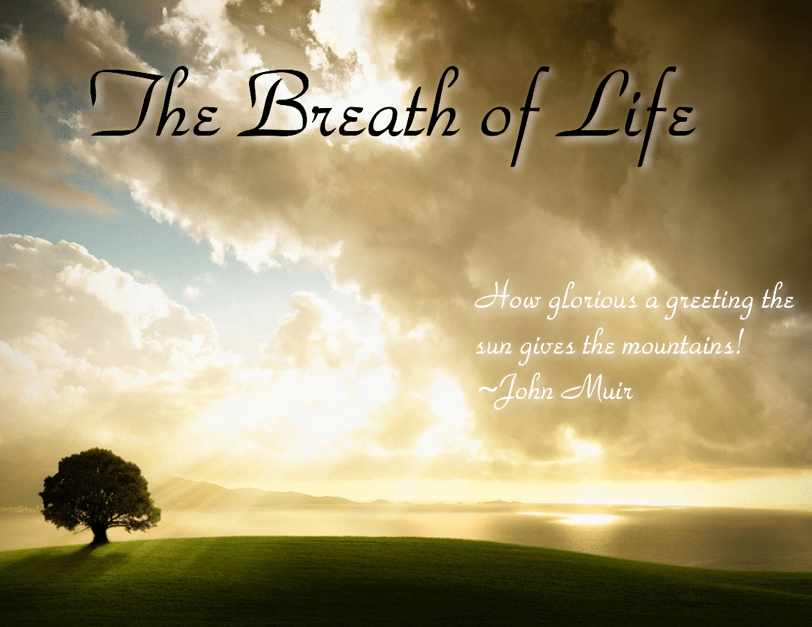 The+Breath+of+Life+1-min.png