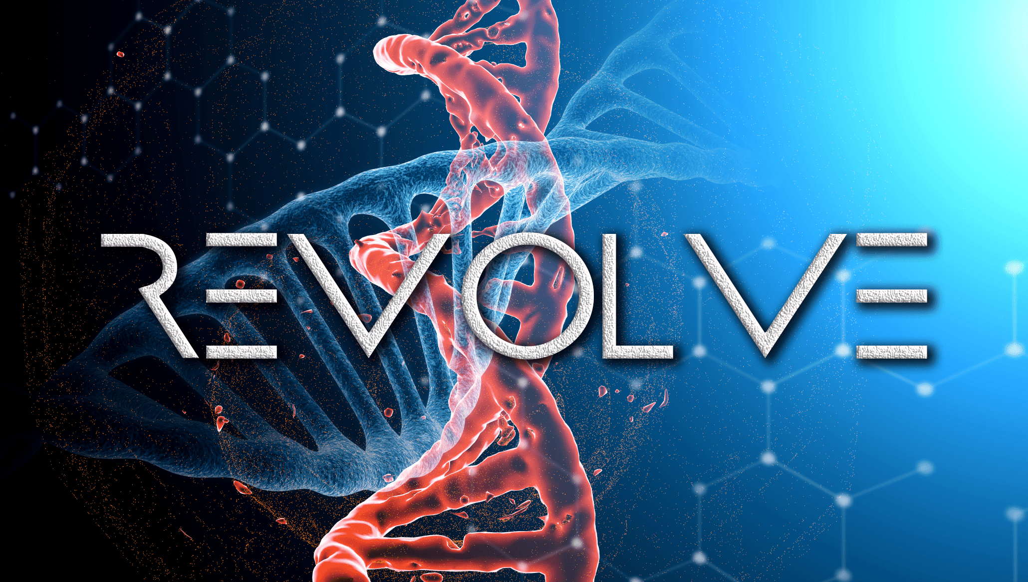 Revolve-min.png