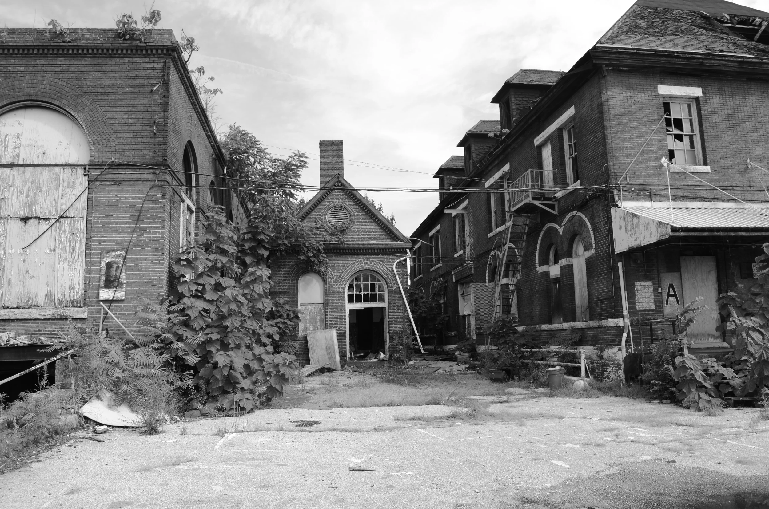 DSC_0055.JPG