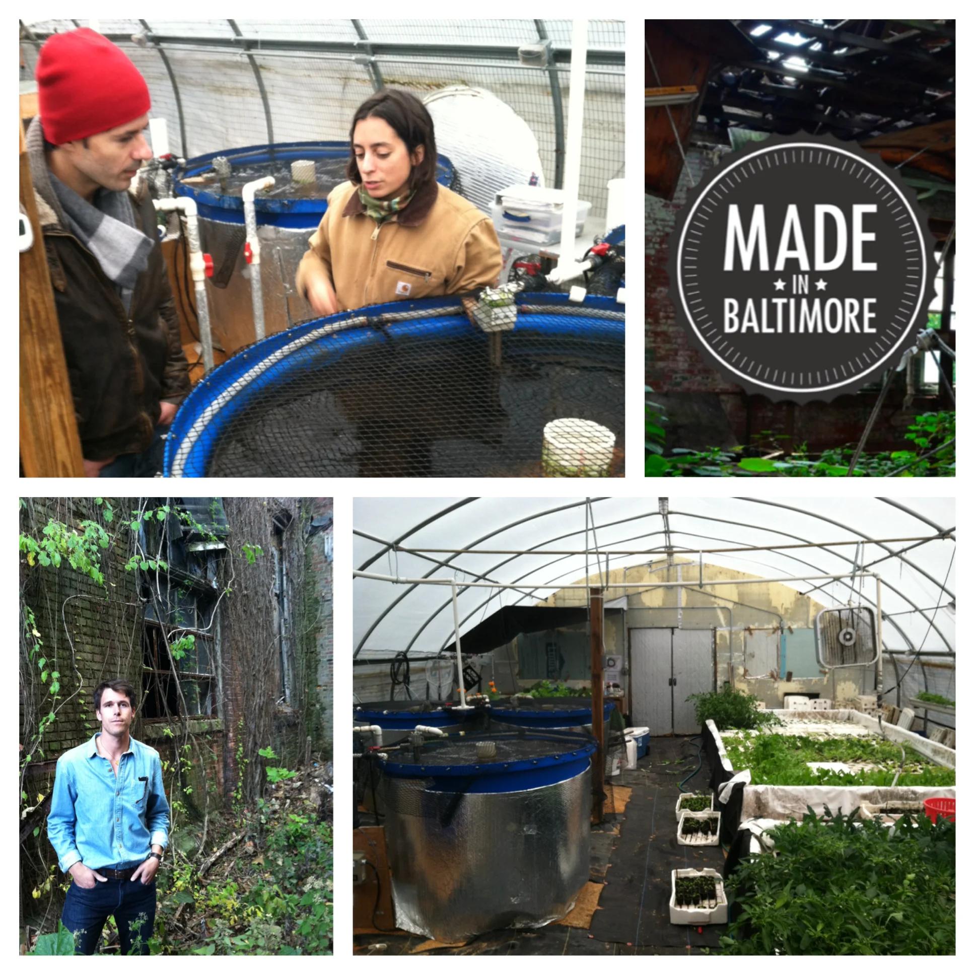 Visiting Cylburn Aquaponics Lab