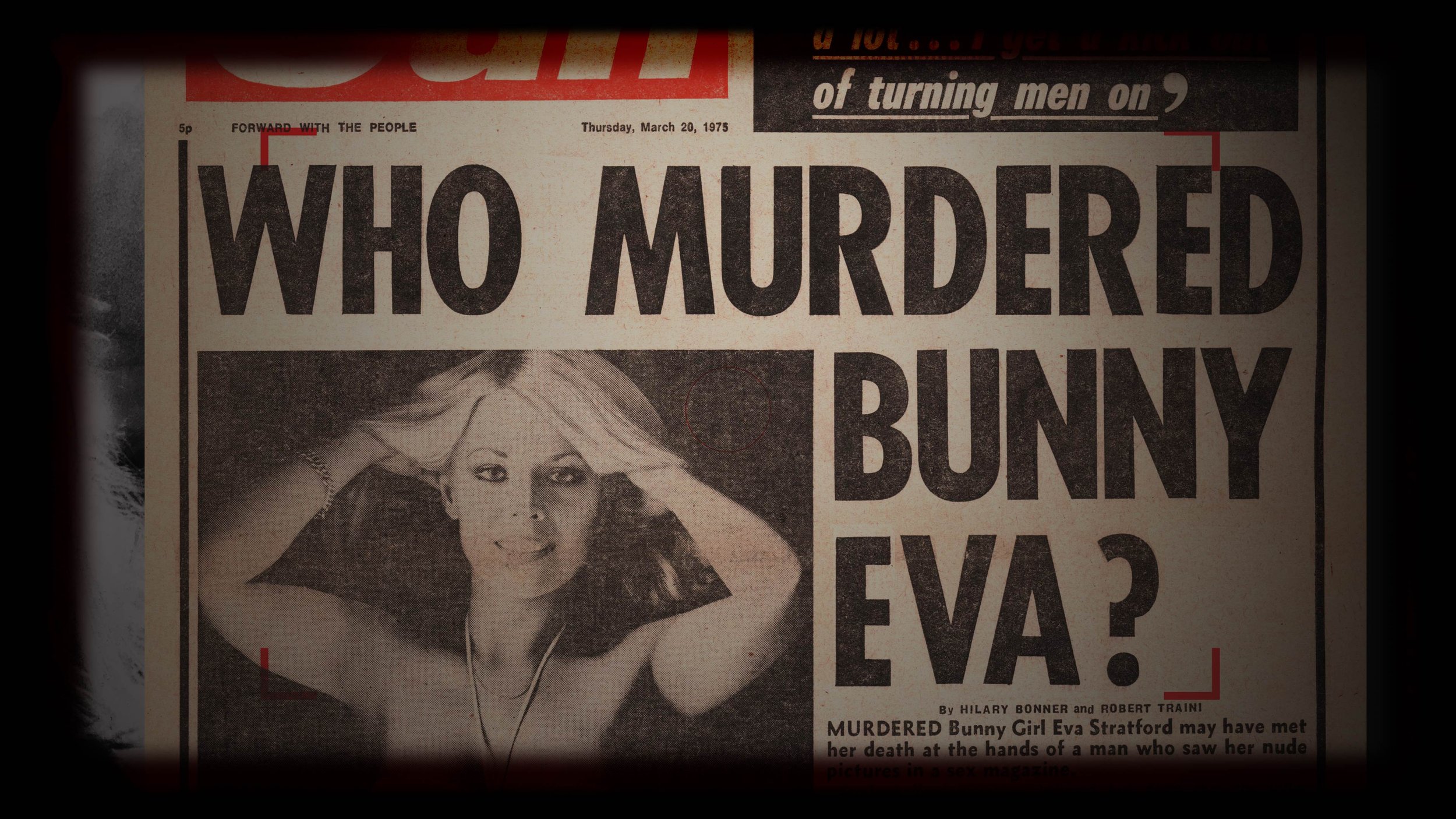 bunny 1.jpg