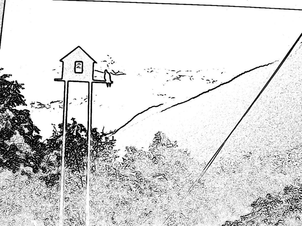 Cheggio 2013 170.JPG