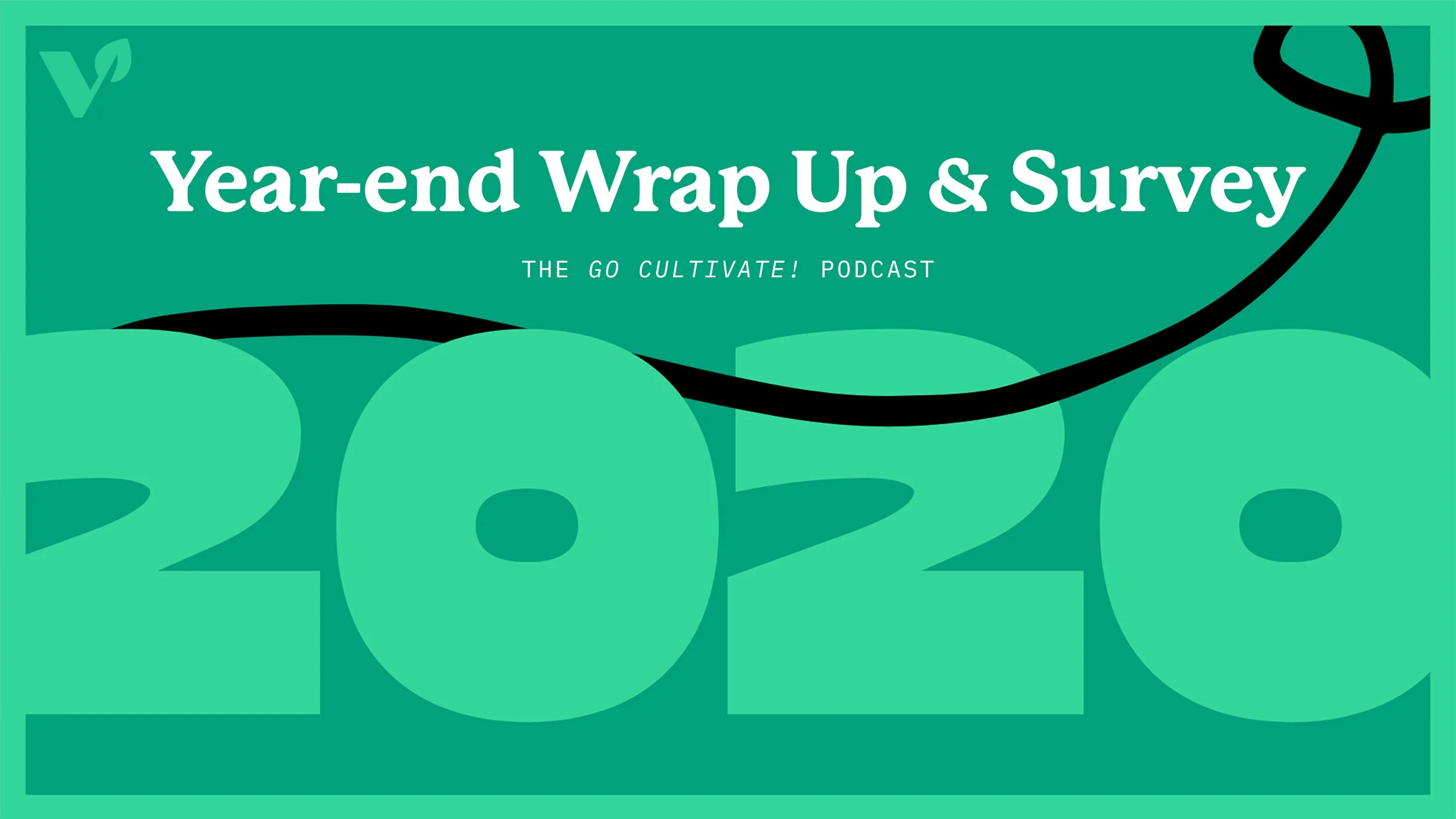 2020 Wrap Up &amp; Survey! 