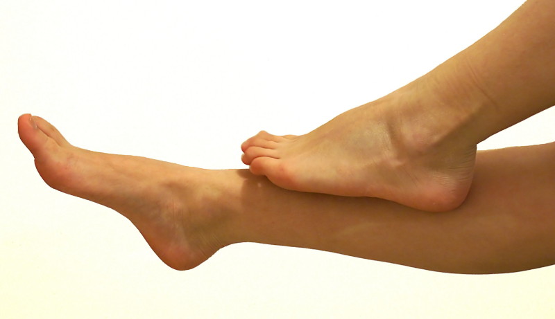 legs.jpg