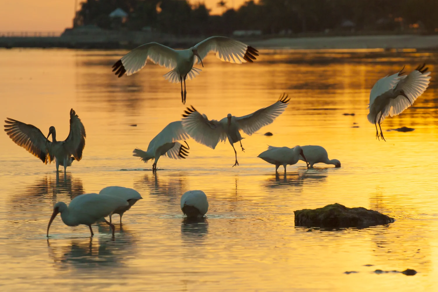 nature-4.jpg