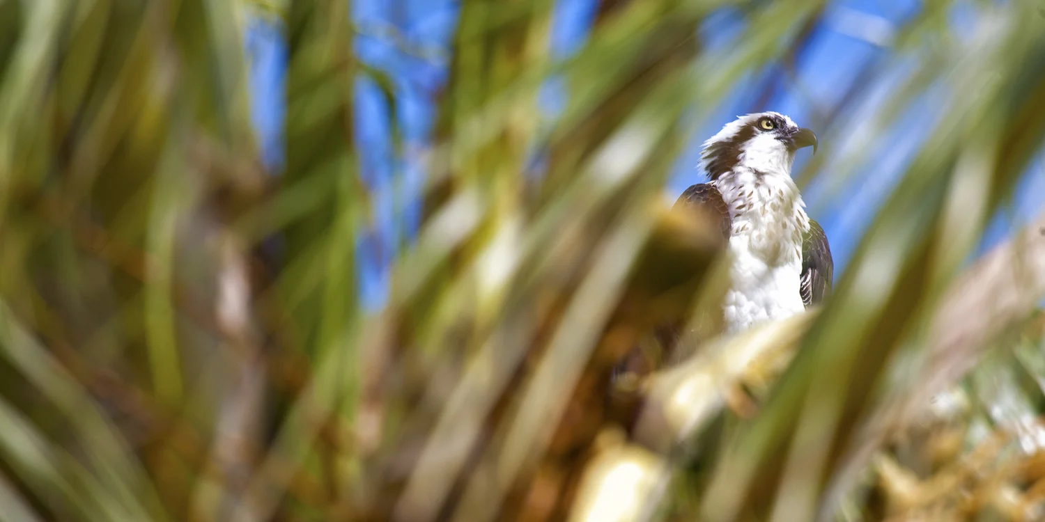 Nature-5.jpg