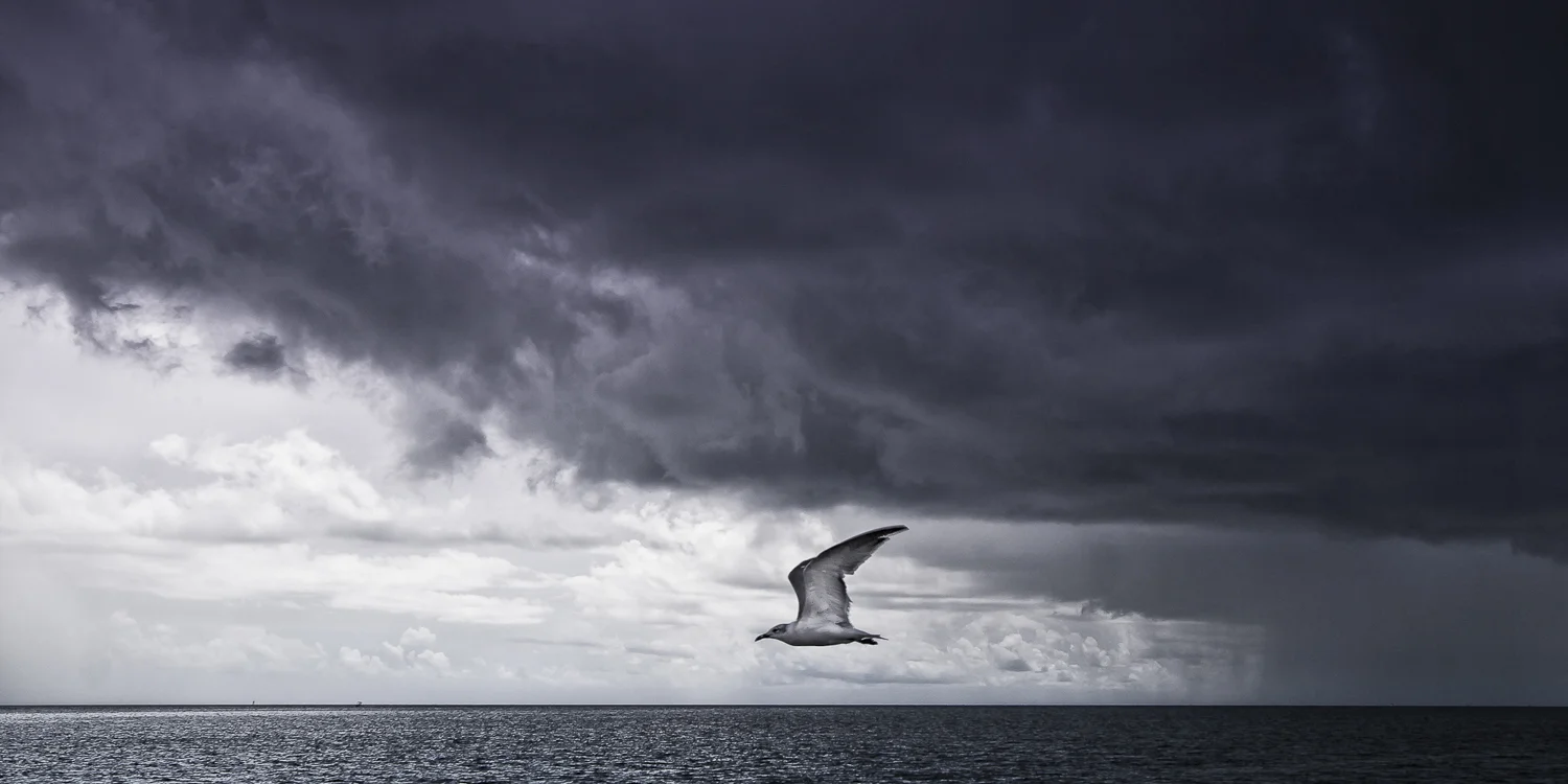 Nature-17.jpg