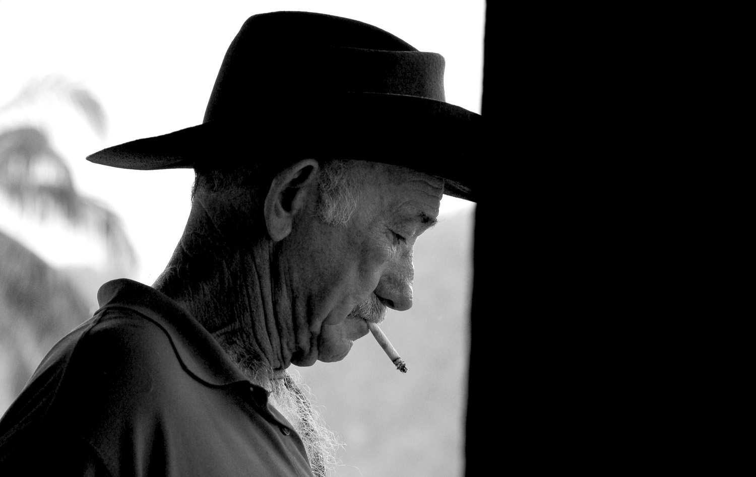 Vinnales-Cuba-Cowboy-Tobacco-Marrero-2.jpg