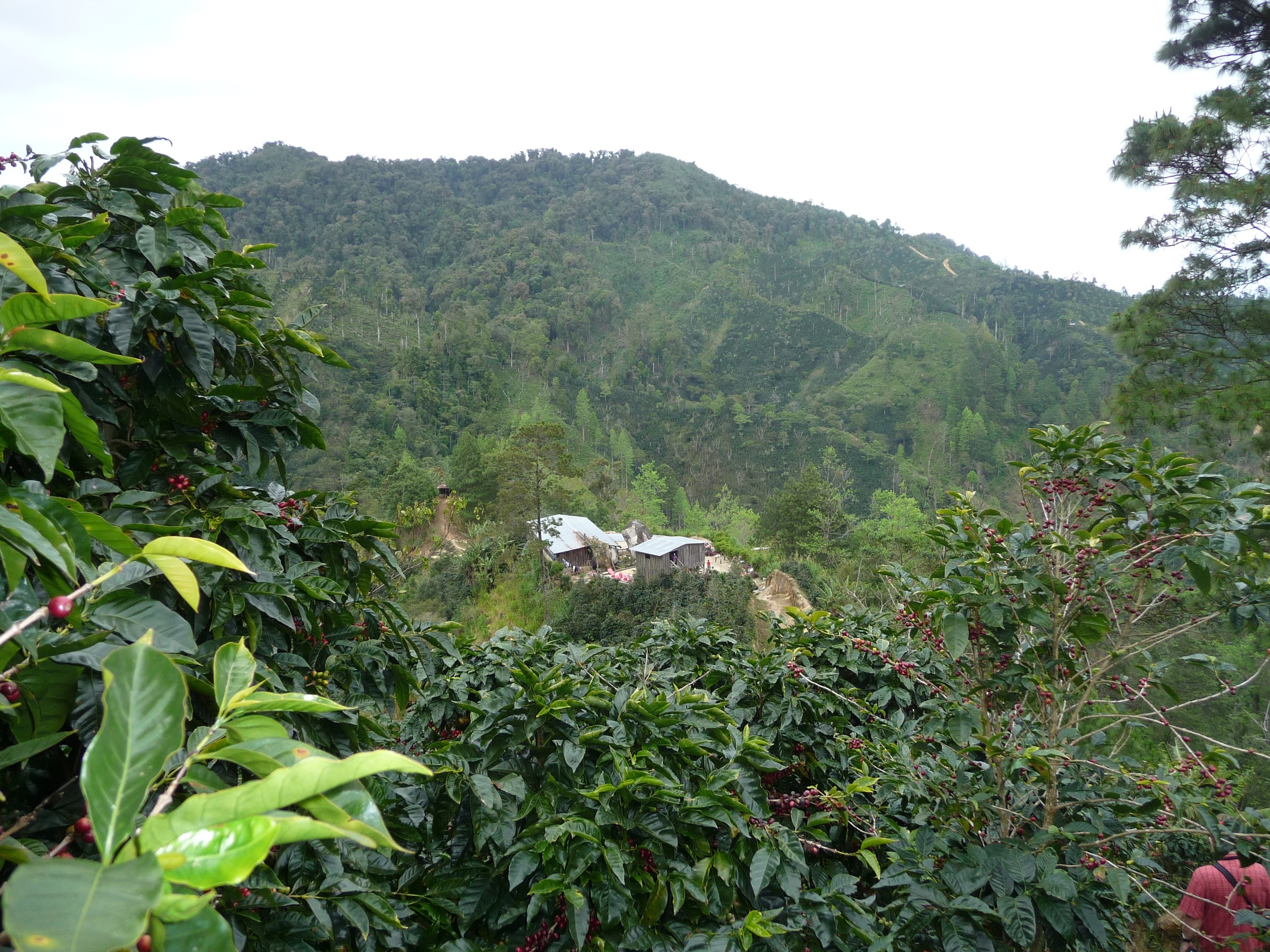 Los Congos View from top Casa.jpg